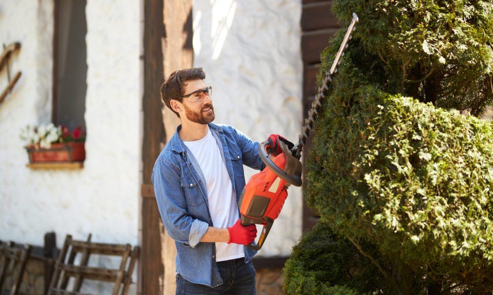 Happy, creative male gardener shaping spiral from thuja with hedge trimmer on back yard. Side view of focused guy in safety glasses and gloves shaping topiary tree in sunny morning. Gardening concept.