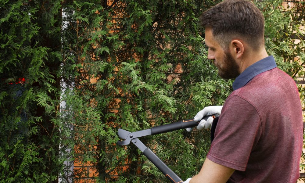 man-servant-caring-garden