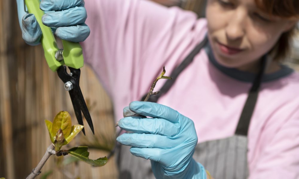 medium-shot-young-woman-cutting-plant